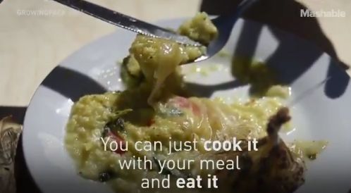 Kemasan yang Bisa Dimasak dan Dimakan