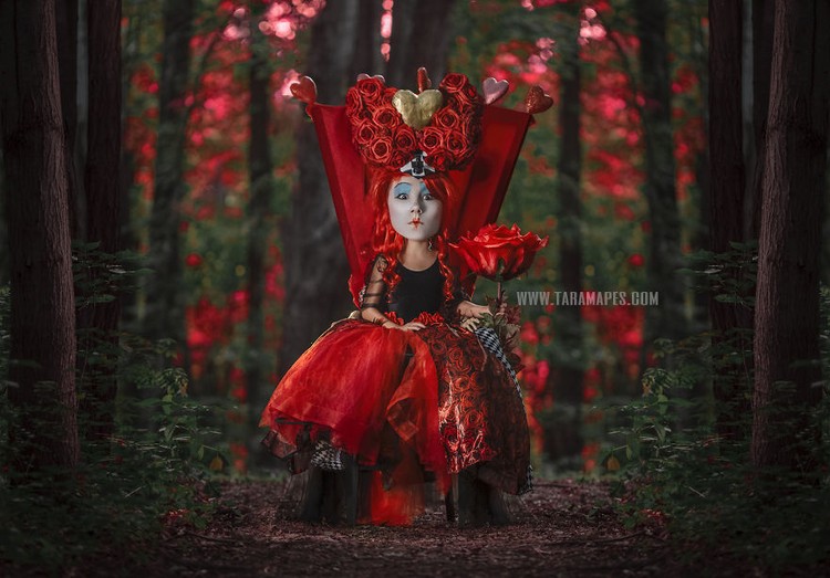 Photoshoot Tema Alice In Wonderland Photoshoot Tema Alice In Wonderland