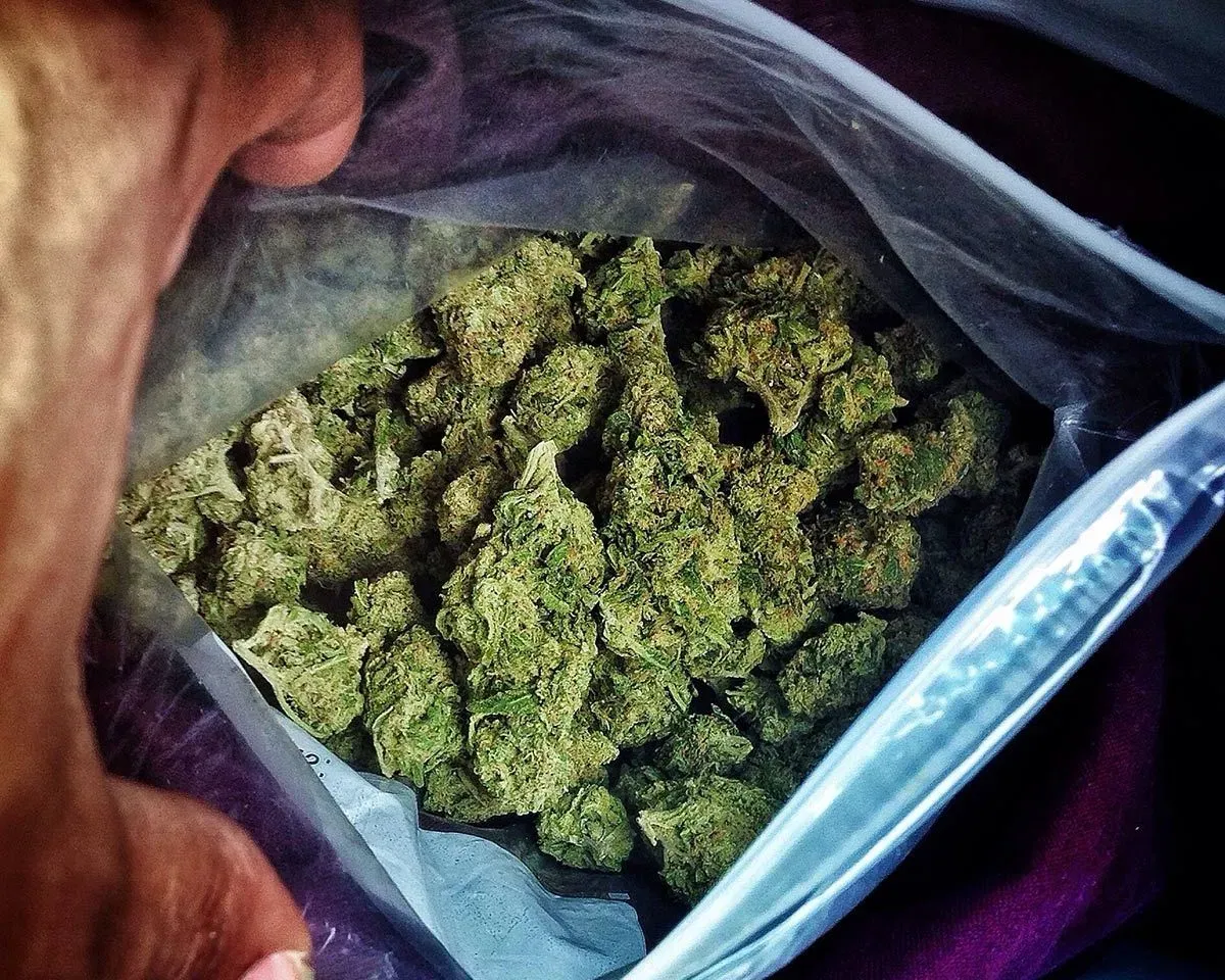 Tak Sengaja Makanan Ganja