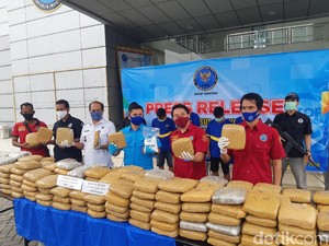 BNN Banten Gagalkan Penyelundupan 298 Kg Ganja via Pelabuhan Merak