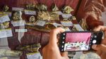 Ciamis Punya Beragam Fosil Hewan Purba Berusia Ribuan Tahun Lho