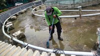 Petugas Dinas Pertamanan dan Hutan Kota DKI Jakarta melakukan perawatan kolam air mancur Taman Tumbuh dan Berkembang di Jakarta, Kamis (2/7/2020).