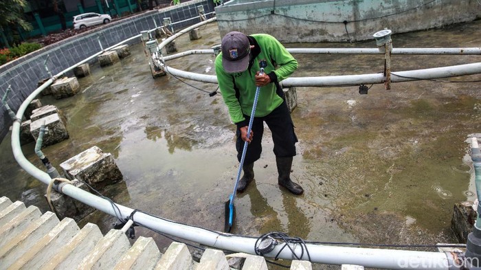 Petugas Dinas Pertamanan dan Hutan Kota DKI Jakarta melakukan perawatan kolam air mancur Taman Tumbuh dan Berkembang di Jakarta. Perawatab ini rutin dilakukan.