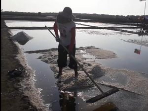 Begini Cara Dorong Swasembada Garam Versi Nelayan