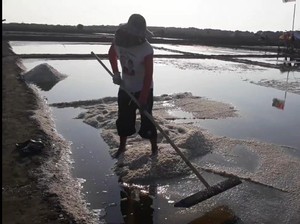 Begini Cara Dorong Swasembada Garam Versi Nelayan