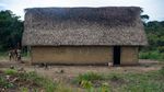 Potret Kehidupan Suku Yanomami di Tengah Pandemi