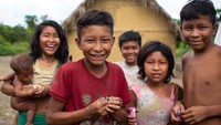 Angka kematian akibat Corona di Brasil telah mencapai 59.594 orang, 4 di antaranya berasal dari Suku Yanomamis.