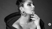 Hal tersebut diakibatkan karena banyaknya kontroversi yang dibuat oleh bintang Baywatch itu. Dok. Instagram/priyankachopra
