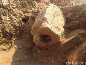 Batu Langka Ditemukan di Situs Kumitir Tempat Pendarmaan Raja Singasari