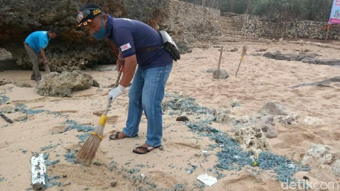 Ratusan wisatawan di kawasan pantai Gunungkidul, jumlah tersebut akumulasi sejak tanggal 26 Juni 2020 hingga hari ini, Kamis (2/7/2020). Tak hanya itu, sore tadi sejumlah ubur-ubur memadati pinggir pantai.