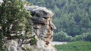 Viral, Batu Ini Disebut Mirip Donald Trump