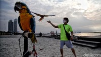 Pantai di kawasan Ancol tampak ramai dikunjungi oleh warga ibu kota, Jumat (3/7/2020).