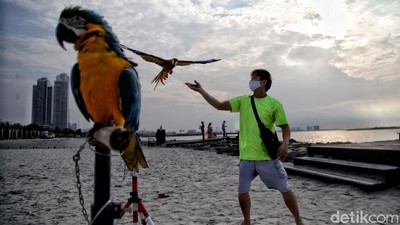 Asyiknya Menikmati Sore di Pantai Ancol