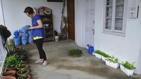 Di halaman rumahnya, Keditsu memiliki sejumlah tanaman stroberi, ketumbar hingga bayam.