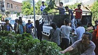 Selain bercocok tanam sendiri, beberapa warga kompak mengumpulkan sayuran di hutan dan membagikannya gratis untuk antisipasi persediaan yang berkurang di tengah pandemi.