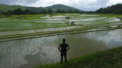 Berkebun Sayuran Jadi Hobi Baru Warga India di Era New Normal