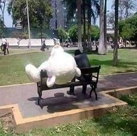 Tidak peduli sebesar apapun boneka yang kamu berikan, kalau si doi tidak memiliki perasaan yang sama denganmu maka tetap saja kamu akan ditolak. Kasihan banget ya kalau begini. Foto: Facebook/Muhammad Fiqih Rao