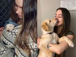 Potret Hewan Sebelum dan Setelah Dirawat Manusia