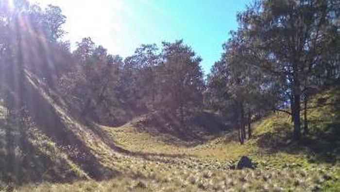 Sabana Gunung Lawu.