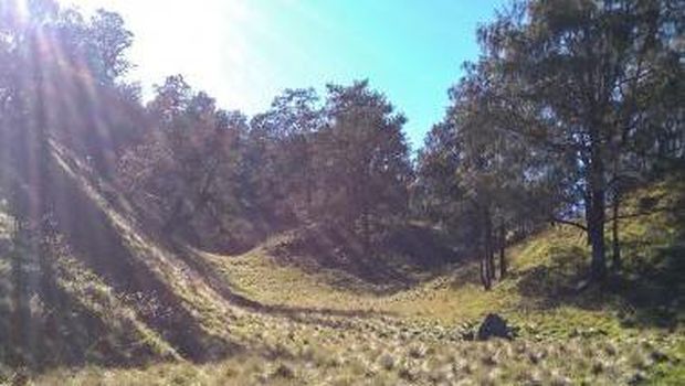Sabana Gunung Lawu.