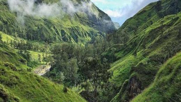 Via jalur Torean.