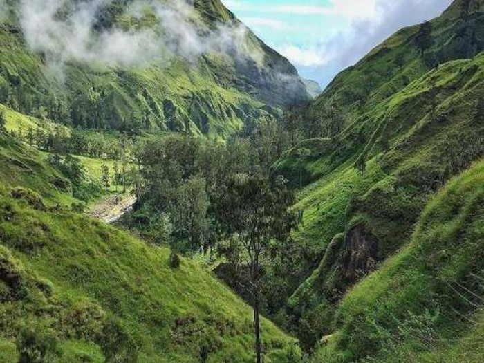 Via jalur Torean.