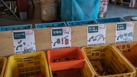 Pemilahan sampah-sampah tersebut dilakukan dengan ketat oleh para warga di Kota Kamikatsu, tak heran ada 45 kategori sampah yang nantinya akan didaur ulang maupun dijadikan kompos.