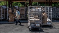 Tak hanya sampah plastik, kertas, kaleng hingga kayu yang tak terpakai dikumpulkan warga untuk dibawa ke pusat pemilahan sampah agar nantinya dapat kembali didaur ulang sehingga dapat meminimalkan sampah yang berpotensi mencemari lingkungan.