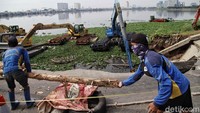 Petugas Sumber Daya Air DKI Jakarta menggunakan batang kayu sebagai tanggul sementara.