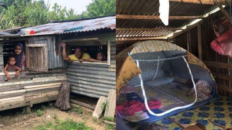 Kisah Orang-orang yang Makan dan Tinggal di Kandang Hewan