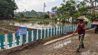 Dengan berbekal cangkul, petani tersebut akan berangkat di pagi hari dan pulang menjelang siang.