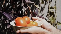 Rara memberikan pernyataan itu karena banyak netizen yang salah kaprah soal siapa dirinya. Banyak yang menyangka kalau ia adalah adik dari Isyana, padahal ia adalah kakaknya. Sosok manis ini telah berpasangan dan kerap membagikan momen berkebunnya. Foto: Instagram @rarasekar