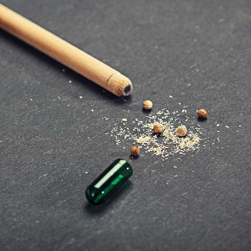 Sprout Pencil, pensil yang bisa jadi tanaman