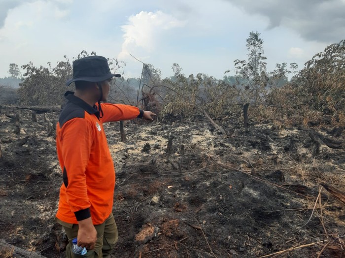 Sudah 2 Hari, Tim Manggala Agni Berjibaku Padamkan Karhutla di Rupat Riau
