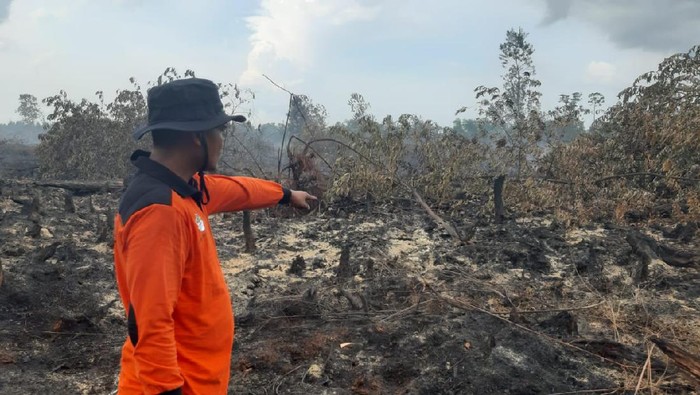 Sudah 2 Hari, Tim Manggala Agni Berjibaku Padamkan Karhutla di Rupat Riau