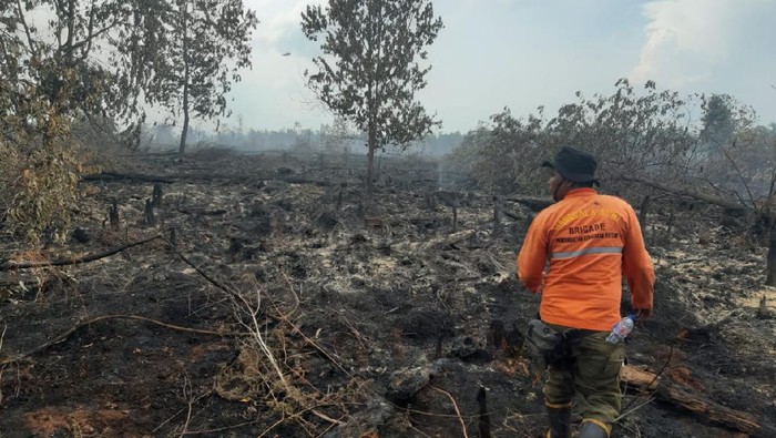 Sudah 2 Hari, Tim Manggala Agni Berjibaku Padamkan Karhutla di Rupat Riau