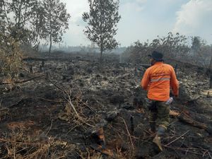 Sudah 2 Hari, Tim Manggala Agni Berjibaku Padamkan Karhutla di Rupat Riau