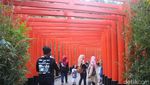 Menarik! Ini Potret Wisata Instagramable dan Kekinian di Lembang