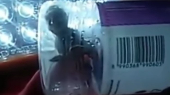 Viral tuyul ditangkap warga dan dimasukan ke dalam botol plastik di Palembang, Sumsel.