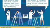 Meski menyerang babi, virus ini punya karakter yang memunkinkan untuk menginfeksi manusia.