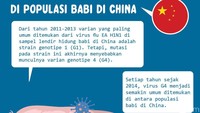 Sebanyak 10 persen pekerja rumah potong babi dan 4,4 persen populasi umum di China diperkirakan sudah terpapar.