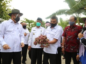 Bantu Petani, Teten Perintahkan LPDB-KUMKM Gandeng Koperasi Simpan Pinjam