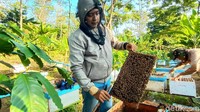 Sebelum memulai panen, tokoh masyarakat setempat mendoakan terlebih dahulu. Setelah didoakan kemudian nasi dengan lauk ingkung itu disantap secara bersama-sama. Baru kemudian dilakukan panen madu lebah.