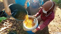 Setiap panen dalam satu kotak itu menghasilkan madu lebah sebanyak 3-5 kg. Sedangkan jumlah kotak lebah yang ia miliki ada sebanyak 100 kotak. Jika panen secara keseluruhan bisa mencapai 3 kwintal.