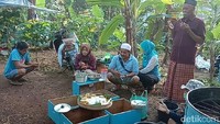 Tradisi panen madu lebah dimulai dengan doa terlebih dahulu, Sabtu (4/7/2020). Sejumlah warga mengelilingi sebuah nasi dengan lauk lengkap seperti daging ingkung, tempe, dan tahu.