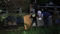 Sebelumnya satu individu Harimau Sumatra berjenis kelamin betina diberi nama IDA tersebut dievakuasi di Desa Jambo Dalem, Kecamatan Trumon Timur, Kabupaten Aceh Selatan setelah masuk perangkap pada Senin (15/6/2020), Pemberian nama IDA diambil dari nama dusun dimana harimau Sumatra itu diselamatkan.