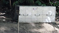 Sesampai di lokasi, tim mengangkat meletakkan kandang IDA di dekat pohon, dan setelah memberi waktu IDA untuk tenang, salah satu anggota tim memanjat pohon untuk membuka pintu kandang. Tak lama setelah pintu kandang terbuka, IDA mengeluarkan auman ganasnya seakan menyambut kebebasannya dan berlari menuju hutan habitatnya.