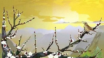 Foto: Tatsuo Horiuchi