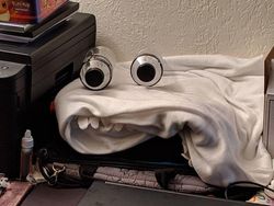 10 Pareidolia yang Bikin Bingung, Lihat Wajah di Sebuah Benda