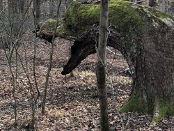 Kumpulan Tatapan Benda Mati yang Bikin Terkejut